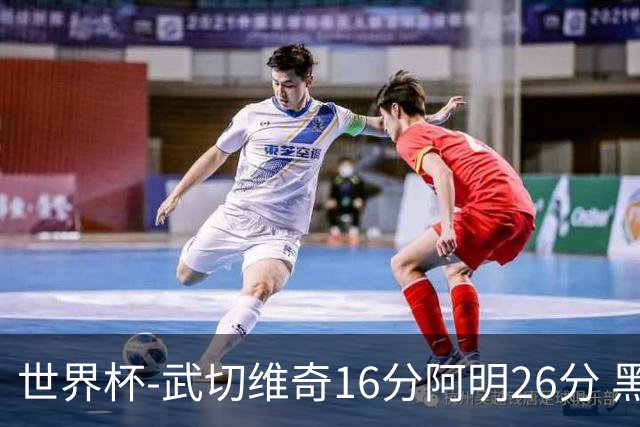 世界杯-武切维奇16分阿明26分 黑山大胜埃及