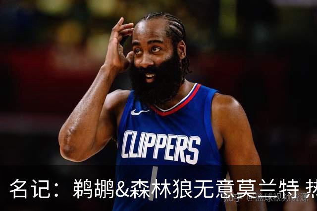 名记：鹈鹕&森林狼无意莫兰特 热火也不急于尝试其与字母哥的搭档